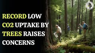 Record Low CO2 Uptake By Trees Raises Concerns  |  WION Podcast