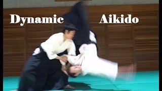 Dynamic and Young Aikido Practice