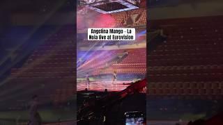 Angelina Mango live at Eurovision  #eurovision #eurovision2024 #esc2024 #italy