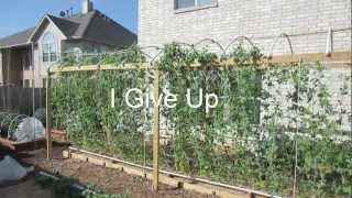 Mittleider Gardening: I Give Up, I Quit, It's Over