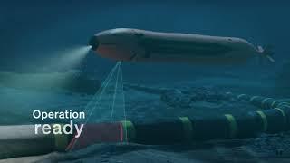 Payloads unlocking USV excellence