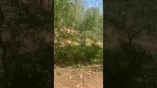 Coler Mountain Biking - Corey Dropping the Hammer