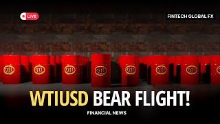 WTIUSD Climbs | Fintech Global FX | Financial News Hourly Updates 