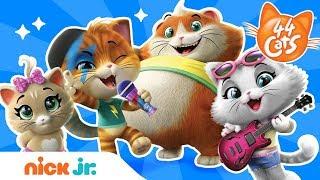 Meet Lampo, Milady, Meatball & Pilou of 44 Cats!  | 44 Cats | Nick Jr.