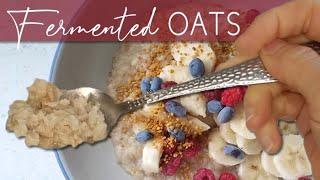 FERMENTED OATS - Reduce ANTI-NUTRIENTS using this DOUBLE METHOD!