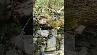 조금은 야한, 옛이야기 정겨운 호반길,  괴산 산막이옛길