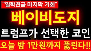 [베이비도지 코인] 🟥트럼프가 선택한 코인!!오늘 밤 1만원까지 뚫린다!!#베이비도지코인 #베이비도지전망  #비트코인