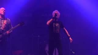 GBH - City Baby Attacked by Rats/City Baby's Revenge  (Ain't Like You Festival 2024 Torgau, D) [HD]