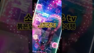 #나훈아 #붉은입술 #나무 #사교댄스 #소백산여우#바다 #오징어게임 #하이라이트댄스시언#색소폰연주#유튜브#팅글#바카라#손영식댄스#시저댄스 #강남신사강 #청춘댄스#트로트 #트롯