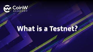 What is Testnet?