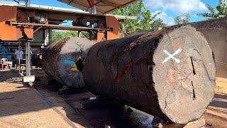 Giant Wood Processing Factory Operating At Full Capacity // Cutting Rare Rosewood