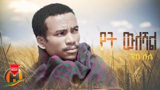 Wabi Lule - Yet Wuleshal | ዋቢ ሉሌ - የት ውለሻል | New Ethiopian Music 2024 (Official Video)