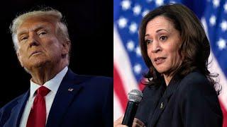 ‘Donald Trump is in trouble’: Democrats now pushing Kamala Harris