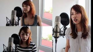 Fleetwood Mac/Dixie Chicks cover - Landslide (cover)