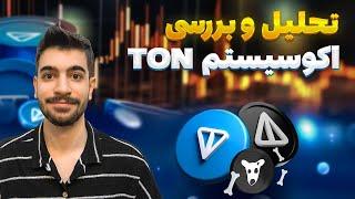 تحلیل اکوسیستم TON | استراتژی ورود به تون‌کوین (TONCOIN) و داگز (DOGS) و نات کوین (NOT)