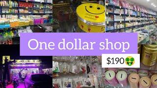 One dollar shop in Lahore||Everything in 190 rupees ||Shopping at lahore one dollar+Shopping haul️