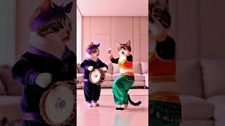 Cute cat dance #cute #cat #dance #fyp #foryou #dance #viral #viralvideo