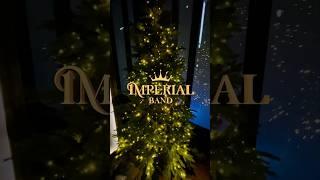 Кавер группа на Новый Год| Imperial Band| +79151308896 #кавергруппа