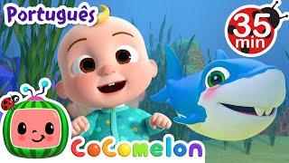 Bebê Tubarão | Cocomelon em Português | Músicas Infantis e Desenhos Animados para Crianças