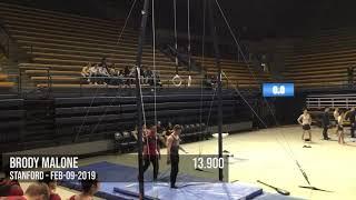 Stanford Men's Gymnastics Feb-09-2019 Still Rings