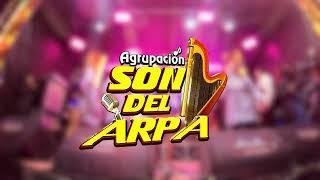 Agrupación Son del Arpa - Familia Interesada (Video en Vivo - Primicia 2024)