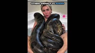 Others animals vs humans vs Last One #trollface #edit #troll #fyp #usa #trollface