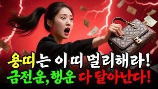 2025년 용띠 재물운, 이 띠들 피하면 돈이 돕니다｜궁합 좋은 띠·나쁜 띠 전격 공개!