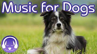 15 Hours of Soothing Dog Therapy Music - INSTANTLY Calm My Dog Down! (TESTED)