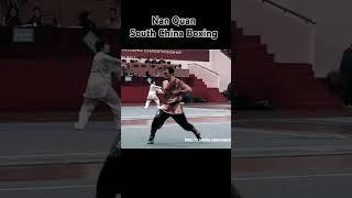 Nan Quan South China Boxing #kungfu #martialarts #neuquen #karate