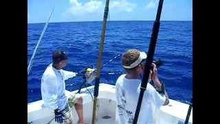 Swordfish attacks Capt. Ahab on the Booby Trap !!!