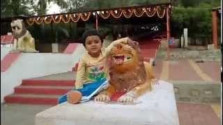 Lion of Forest - Chotila Lion with Kalkin