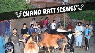 Dangerous cow rally in khurram colony | Funkar Tv