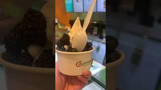 MAKE YOUR OWN YOGURT #pinkberry #yogurt #shorts #youtubeshorts #youtube #shorts #shortvideo #reels