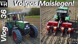 Vlog#36 Vollgas  Maisbaun  mit Becker Aeromat und #fendt  #deutz #traktor