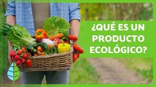 PRODUCTOS ECOLÓGICOS  (Qué son, Beneficios y Ejemplos)