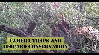 Camera Traps and Leopard Conservation