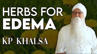 Potential Herbal Remedies for Edema | KP Khalsa