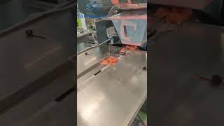 Упаковка лотка в флоу-пак. Большая упаковочная машина / Packing the tray in a flow pack