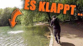 Der BILLIGSTE Köder für DICKE FISCHE! Ich fange meinen ersten Fisch mit....  | angeln 2018