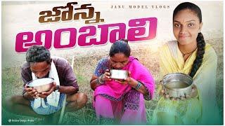 జొన్న అంబాలి || villge girl|| my village || villge comedy|| janu madel vlogs||