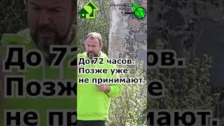 Эта таблетка спасет жизнь. Защита от смертельного укуса клеща. Она должна быть у каждого с собой!