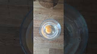 #Egg  + #Vodka 