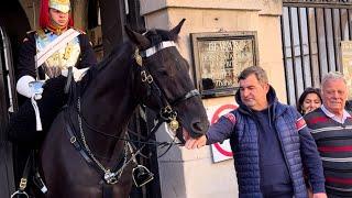 Public Screams at this Family to Stop Deliberately Goading King's Horse at Horse Guards