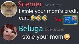 When Beluga Scammed the Scemer...