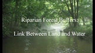 Riparian Forest Buffers