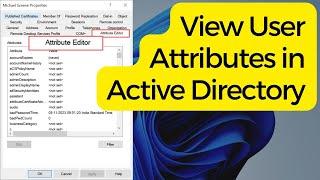 View User Attributes in Active Directory
