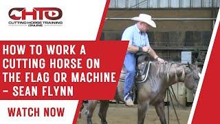 How To Work A Cutting Horse On The Flag Or Machine - Sean Flynn