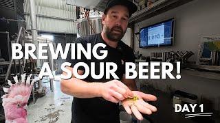 How To Brew A Sour Beer Like A Pro