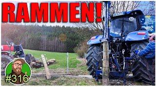 FarmVlog 316: Neue Weiden am neuen Standort