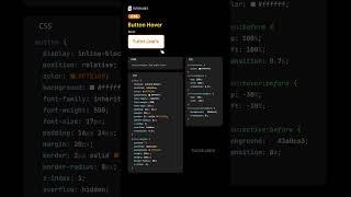 Animation Button in CSS